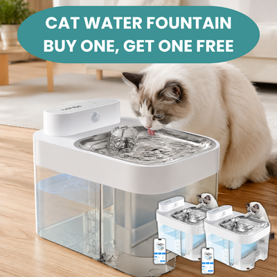 Cat Water Fountain
